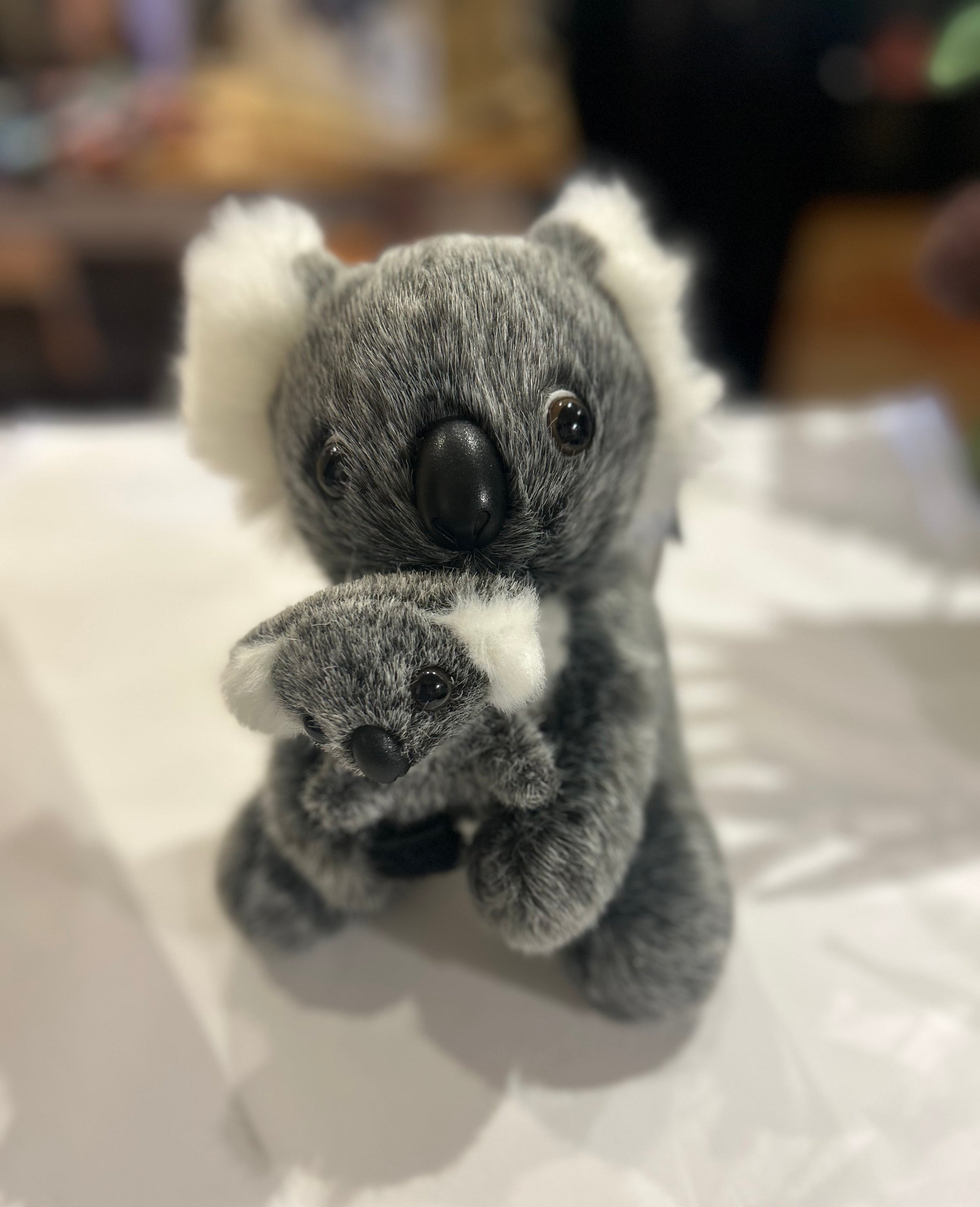 KORIMCO | AUSTRALIAN PLUSH TOYS