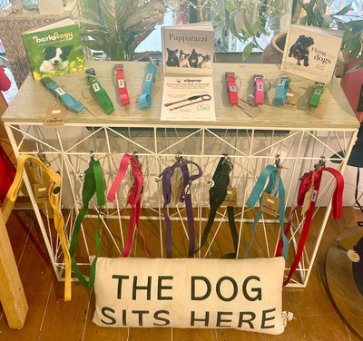 PET ACCESSORIES