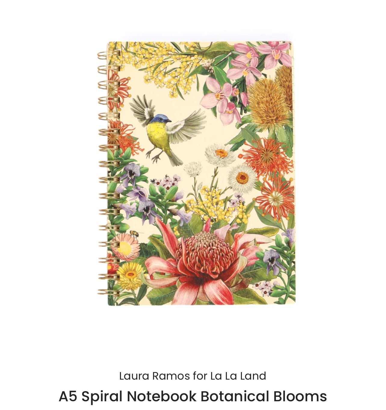 FEATURE COLLECTION | LA LA LAND | AUSTRALIAN BLOOM | JOURNAL